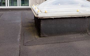 disadvantages of Sunderland flat roofs